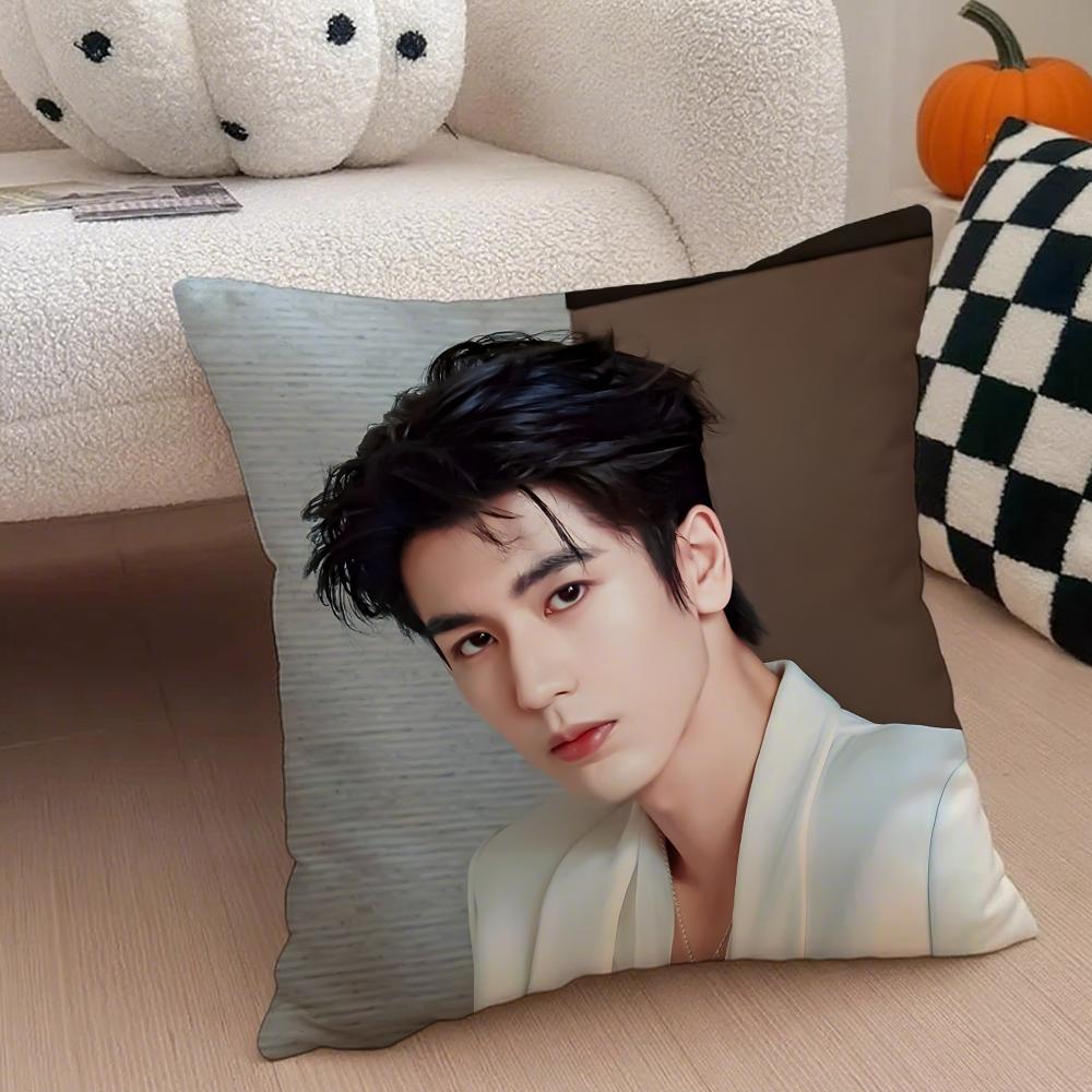 Handsome Versatile Chinese Actor ZZhangLingHe Cushion Cover Throw Pillow Cover Hidden Button Durable Polyester Chair Cushion