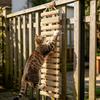 Kediler İçin Kedi Köprüsü Kafes Sisal Ahşap İp Merdiven Evcil Hayvan Mobilyası Yavru Kedi Basamağı Tırmalama Direği Yavru Kedi Oyuncakları Ağaç Çeşitli Boyutlarda