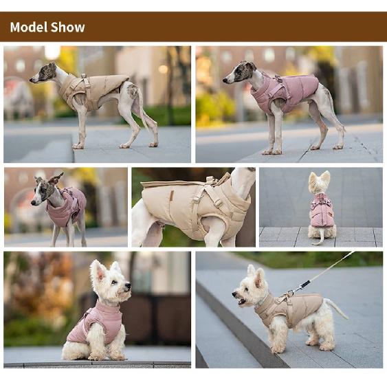Autumn Winter Pet Clothes Outdoor Dog Jacket with Harness for Small Medium Dogs Thick Warm Pet Cotton-Padded Clothing
