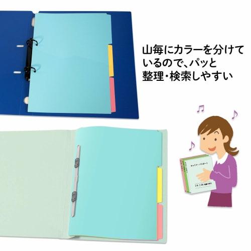 Plus Index Sheet PP 2 Holes A4 Vertical 3 Threads 1 Set FL-201IS 84-841ÁE0