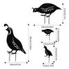 4Pcs Metal Quail Garden Decorative Statues Standing Metal Quail Lawn Sculptures Ornaments Metal Quail Art Sculptures