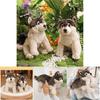 Wolf Plush Toy Animal Figurine With Short Pile Material For Kids And Adults