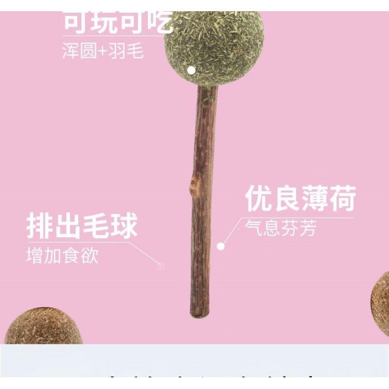 Catnip Stick Toy Cats - Natural Wood Mint Dental Chew Teeth Cleaning Oral Care