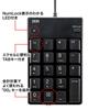 Sanwa Supply NT-17UBKN USB Numeric Keypad, Black