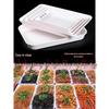 Melamine Rectangular Food Display Tray