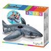 INTEX Great White Shark Ride-On, 173 X 107 Cm, 57525 [Official Japanese Product]