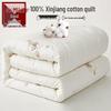 MUJI Class A Antibacterial 100% Cotton Quilt