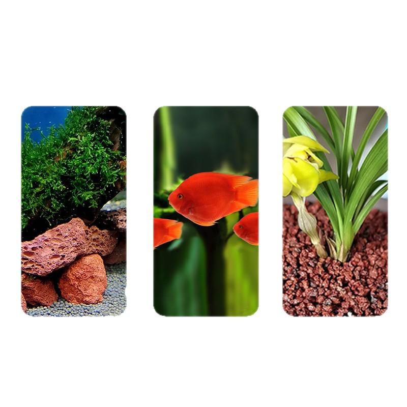 Volcanic Rock Granules for Landscaping, Fish Tanks, and Succulents