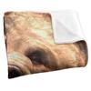 Royce McClure Grizzly Bear Head Silky Supersoft Blanket