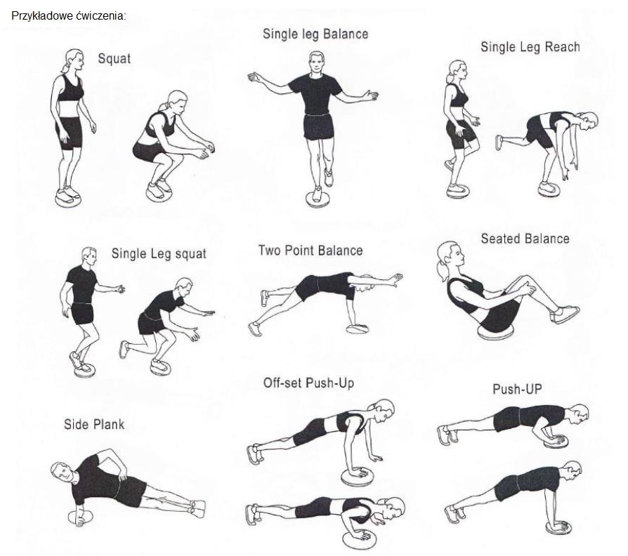 MASTER massage cushion