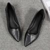 Xiaoxiangfeng Single Shoes Female Spring 2025 Versatile Korean Version Fairy Evening Shoes Gentle Shoes Pointed Flat Shoes