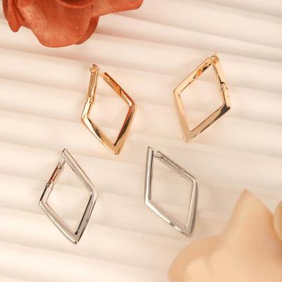 B425 High-End Minimalist Square Niche Earrings - New Simple, Cold Style, Small & Exquisite