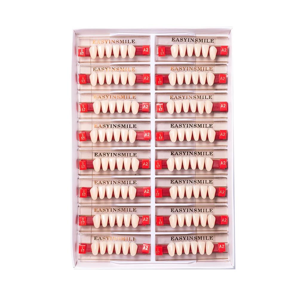 16/12 Sätze/Karton Zahnprothese Zähne Oberkiefer Frontzähne Unterkiefer Seitenzähne Dentier Synthetisches Polymerzähne Zahnmedizinische Ausbildungsmodell