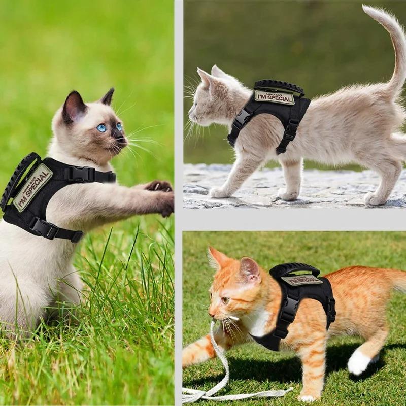 Tactical Pupp and Cat Harness,Small Dog Kitten Military Harness Escape Proof For Cats Dogs Adjustable Kitten Vest.