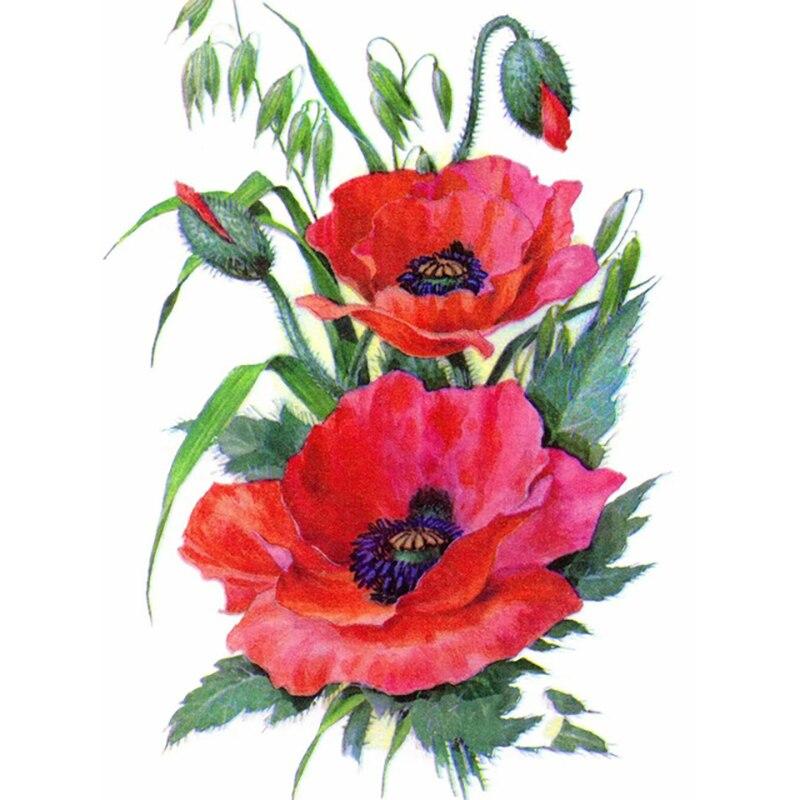 

DIY полный круглый 5D алмазная живопись Пейзаж Цветочный Алмазная вышивка Мозаика вышивка крестиком цветок мака домашний декор подарок Full Round 25x35CM