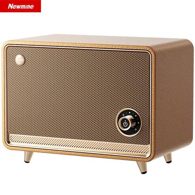 Newmine BT515 Retro Bluetooth-Lautsprecher CN-Stecker (Adapter enthalten)