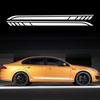 2PCS DIY Car Both Sides Body Stickers Stripes Waterproof Auto Door Decals Automobiles Products Car Wrap Vinyl Film Accessories