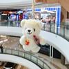 Cute Plush Bear Keychain Bag Charm Soft Stuffed Animal Doll Pendant Toy