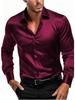 2025 Men's Silky Fabric Long-Sleeve Business Casual Shirt