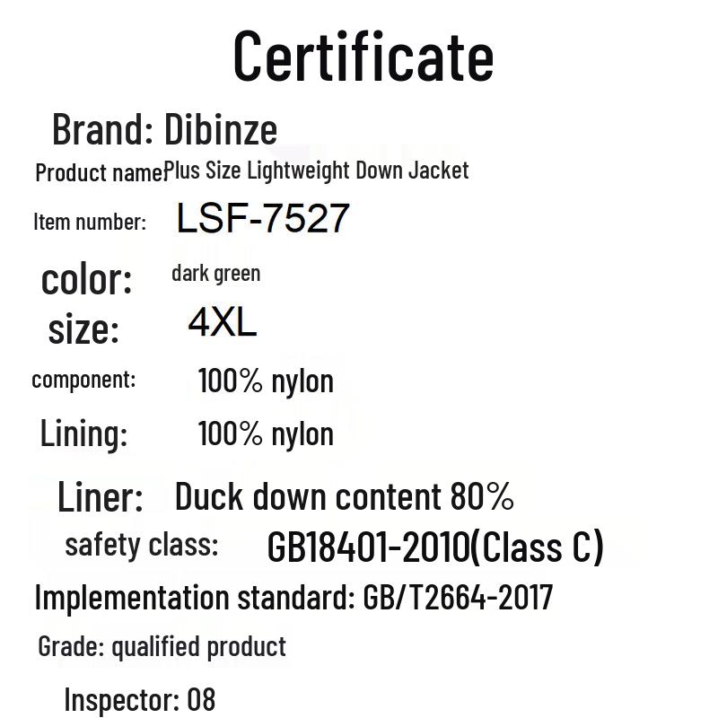 Dibenze Men's Plus Size Lightweight Duck Down Jacket