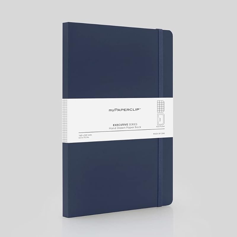 myPAPERCLIP Executive Series Notebook, Large (165 x 241 mm, 6.5 x 9.5 in.) Checks, ESX192L-C Blue