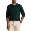 Polo Ralph Lauren Merino Wool Crew Neck Knit Sweater Men sweater 710667378-026