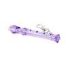 Mini Recorder Purple (53013604)