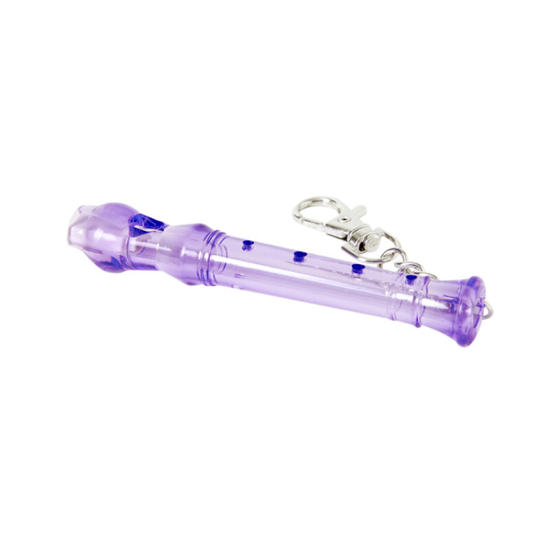 Mini Recorder Purple (53013604)