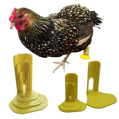 4Pcs/Set Chick Splay Leg Brace Hobble Splint Poultry First Aid Essential Duck Leg Splint for Baby Chicks Goslings And Juvenile Birds