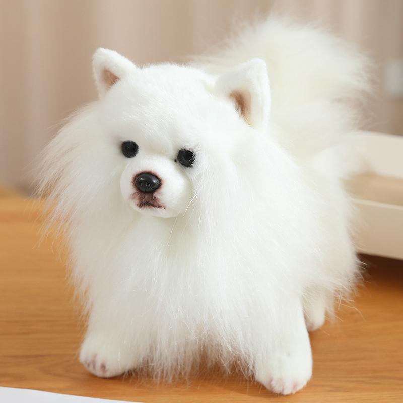 Simulation Cute Real Life Pomeranian Dog