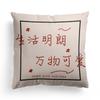 Modern Simple and Popular Short Plush Pillowcase Home Sofa Pillowcase Fun Decorative Pillowcase
