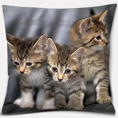 Funda de Almohada Decorativa de Gato Lindo para Decoración del Hogar, con Estampado de Gato, para Sofá de Salón, Oficina, Cojín de Asiento