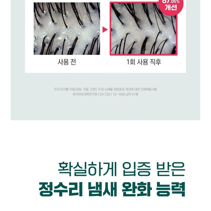 ROUND LAB Pine Calming Cica Shampoo