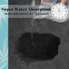 Soft Non Slip Bathroom Mat Quick Dry Absorbent Floor Rug Home Entrance Door Mat Bath Toilet Carpet Water Resistant Anti Skid