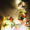 30LED Rose Flower Lights Light Pink Color LED Tree Branch Lights for Wall Vine Lamp  Decor Garland