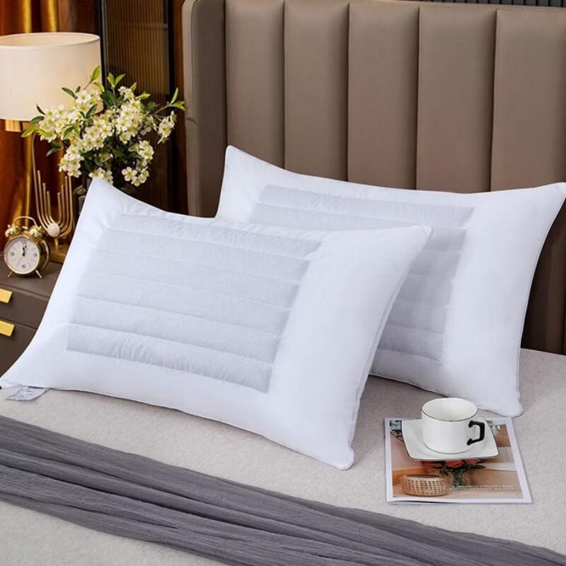 Tangna 133 Buckwheat Pillow