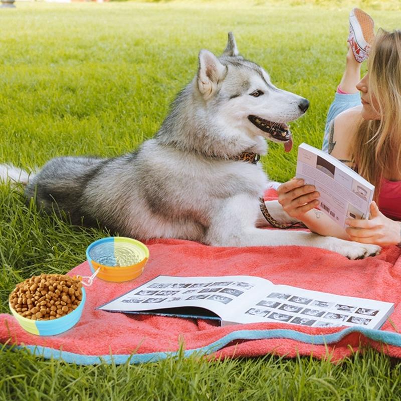 Dog Slow Feeding Bowl Set Silicone Pet Food Bowl Dog Outdoor Travel Water Bowl Foldable Food Feeder Bowl Dog Dish 2pcs