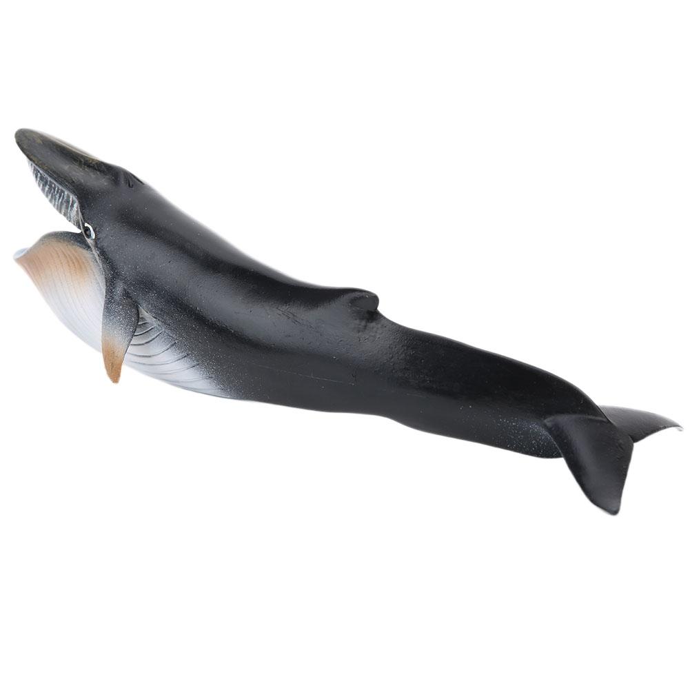 Ornamente Model Simulare Animal Marin Decor Birou Jucărie Educativă CopilPL127?1341