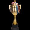 Champion's Sports Award Trophy