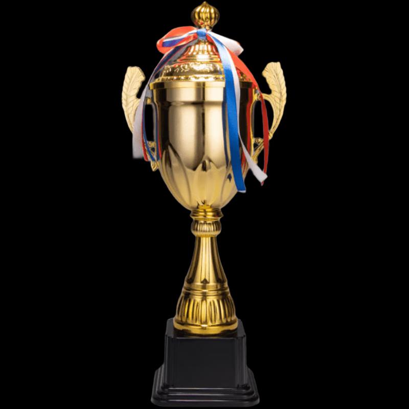 Champion's Sports Award Trophy