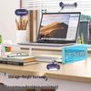 Laptop Cooling and Monitor Riser Stand
