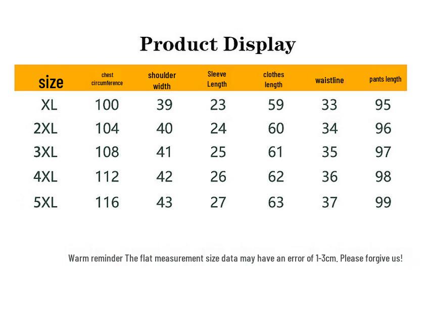 Women's Plus Size Casual Summer T-shirt & Shorts Set