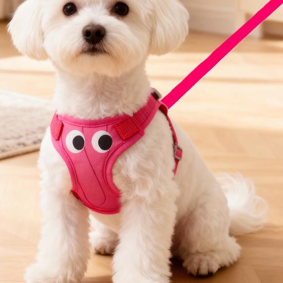 Yousheng Padded Step-in Dog Harness Breathable Adjustable Pet Harness Cute Big Eyes Harness with Leash for Small Dogs