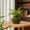 Moosball Blumentopf Kreativer Natürlicher Moos Pflanzer Dekorative Bonsai Pflanzenhalter für DIY Gartenarbeit Heim Tischdekoration