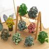 Artificial Amphibian Plants Terrarium Leaves Habitat Decor for Iguana for Turtle