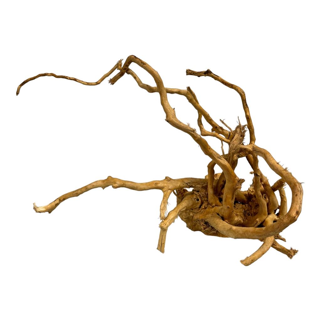 BioRoot Red Moor S / 20-30cm / Japanese root for terrariums and aquariums