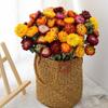 Daisies dried flower bouquet decorative ornament shooting props natural real flower arrangement bedroom dried bouquet
