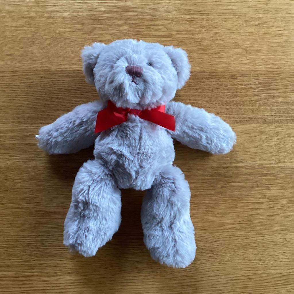 [USED] ReFa Teddy Bear