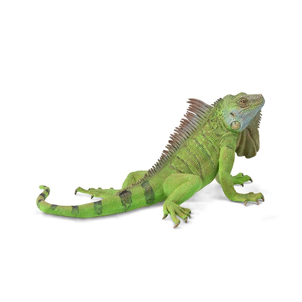 Collecta Игуана