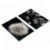 Multifunctional Decorative Glass Boards with Dandelion Print 2x40x52 Cm
